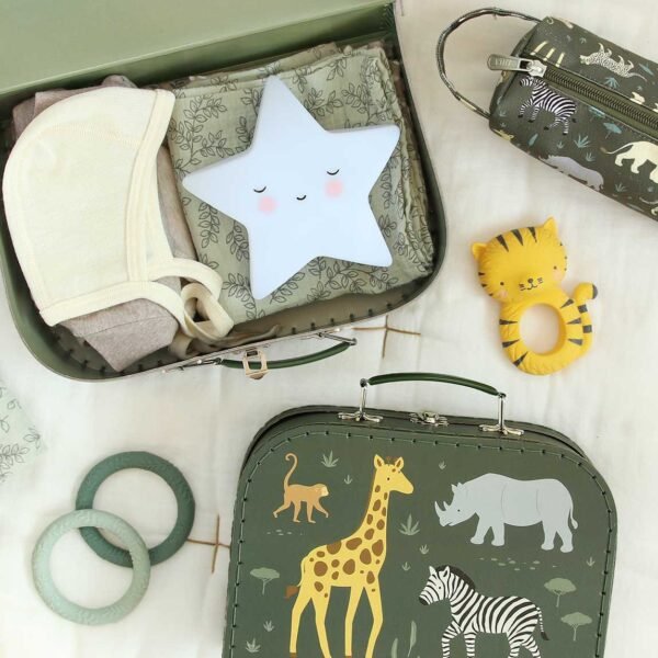 ALLC Kofferset 29x9x20cm SCSAGR24 Savanna
