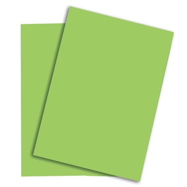 PAPYRUS Rainbow Papier FSC A4 88042652 80g, grün 500 Blatt